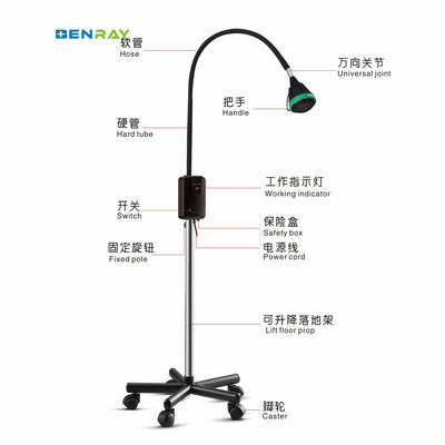 Hospital Medical Clinic Dental Exam Lamp Wall Mounted Stand Mobile Halogen Examination Lamp