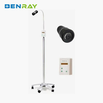 Brightness Spot Size Adjustable Dental Vet Tattoo GYN  Hospital Exam Lamp  Stand Mobile LED Examination Lamp