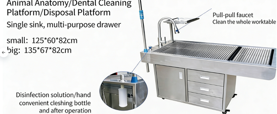 Veterinary Operating Table Stainless Steel Animal Operating Table