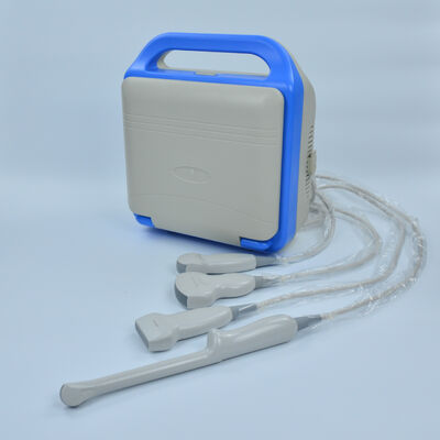 Digital Laptop Ultrasonic  Diagnosis  Equipment to Human